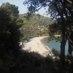 Estudio Un Solo Ambiente Centrico Muy Cerca De La Playa Con Piscina Y Terraza 公寓 *