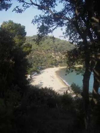Estudio Un Solo Ambiente Centrico Muy Cerca De La Playa Con Piscina Y Terraza Apartament *
